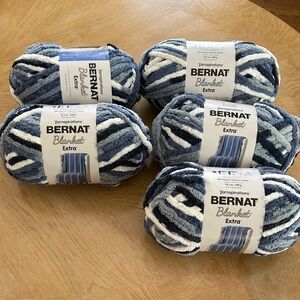 Bernat Blanket Yarn - Blue and White